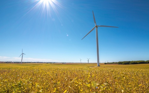 Wind turbines on farmland